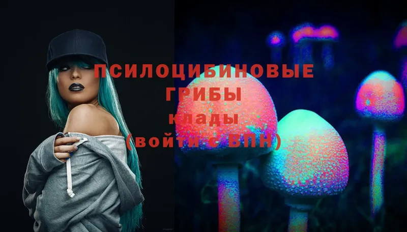 купить закладку  гидра как зайти  Псилоцибиновые грибы MAGIC MUSHROOMS  Краснотурьинск 